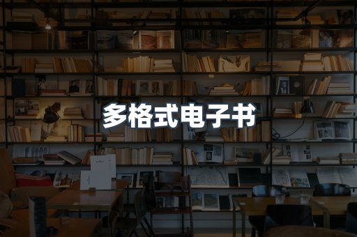 多格式电子书